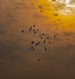 Źródło: Jasmeet Singh/unsplash