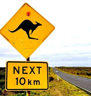 ©Unsplash/datingjungle