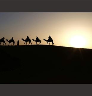 (©Unsplash/Inbal Malca)