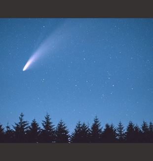 (©Unsplash/Cristofer Maximilian)