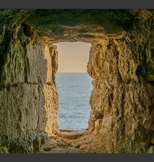 ©Alex Ingraham/Unsplash