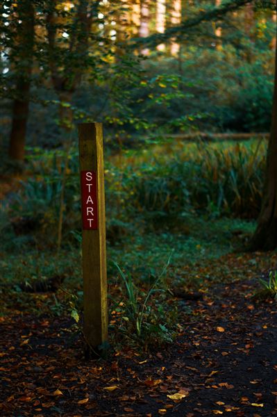 Eilis Garvey/Unsplash