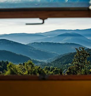 Tom Jur/Unsplash